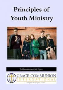 Baixar Principles of youth ministry pdf, epub, eBook