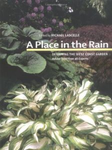 Baixar Place in the rain, a pdf, epub, eBook