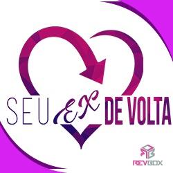 Baixar Seu Ex De Volta pdf, epub, eBook