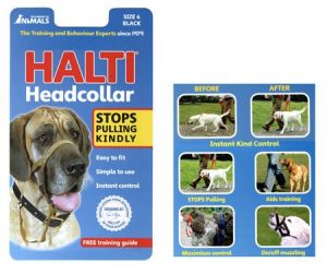 Baixar Ethics in business pdf, epub, eBook