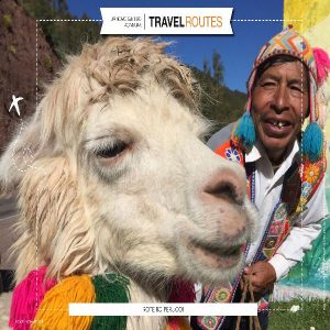 Baixar Roteiro Peru.GO! pdf, epub, eBook