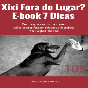 Baixar E-book 7 Dicas para xixi no lugar certo pdf, epub, eBook