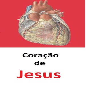 Baixar Ebook Coração de Jesus pdf, epub, eBook