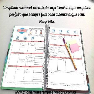 Baixar Life Planner da Mulher Realizada pdf, epub, eBook