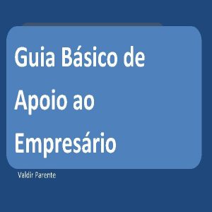 Baixar Guia Básico de Apoio ao Empresário pdf, epub, eBook