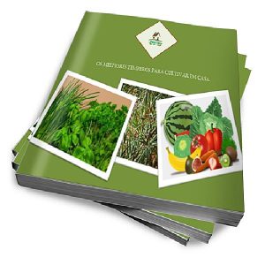 Baixar Os melhores temperos para cultivar em casa pdf, epub, eBook