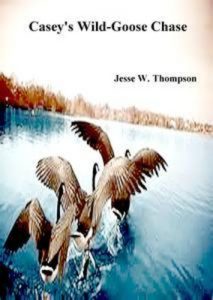Baixar Casey’s wild goose chase pdf, epub, eBook