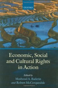 Baixar Economic, social and cultural rights in action pdf, epub, eBook