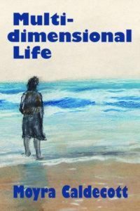 Baixar Multi-dimensional life pdf, epub, eBook