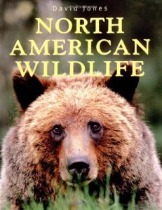 Baixar North american wildlife pdf, epub, eBook