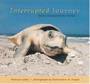 Baixar Interrupted journey – saving endangered sea turtle pdf, epub, eBook