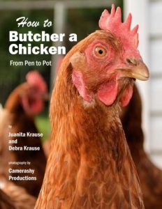 Baixar How to butcher a chicken pdf, epub, eBook