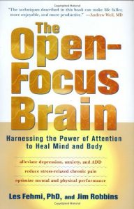 Baixar Open-focus brain, the pdf, epub, eBook