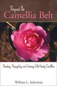 Baixar Beyond the camellia belt pdf, epub, eBook