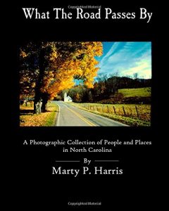 Baixar What the road passes by pdf, epub, eBook