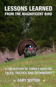 Baixar Lessons learned from the magnificent bird pdf, epub, eBook