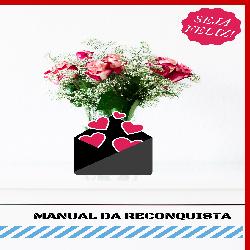 Baixar Manual da Reconquista pdf, epub, eBook