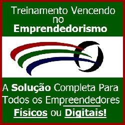 Baixar Treinamento Vencendo No Empreendedorismo pdf, epub, eBook