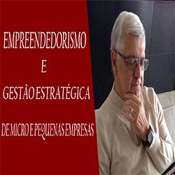 Baixar EMPREENDEDORISMO E GESTÃO ESTRATÉGICA DE MICRO E PEQUENAS EMPRESAS pdf, epub, eBook