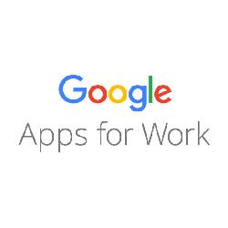 Baixar Google Apps for Work pdf, epub, eBook