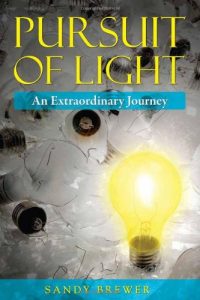 Baixar Pursuit of light pdf, epub, eBook
