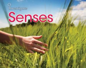 Baixar Senses pdf, epub, eBook