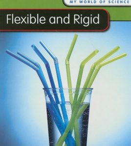 Baixar Flexible and rigid pdf, epub, eBook