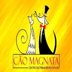 Baixar LIVRO DE DOUTRINA E ADESTRAMENTO CÃO MAGNATA pdf, epub, eBook