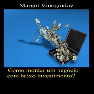 Baixar Como montar um negócio com baixo investimento? pdf, epub, eBook