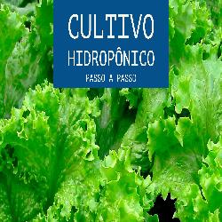 Baixar Hidroponia: cultivo hidroponico pdf, epub, eBook