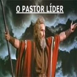 Baixar O pastor e sua liderança pdf, epub, eBook