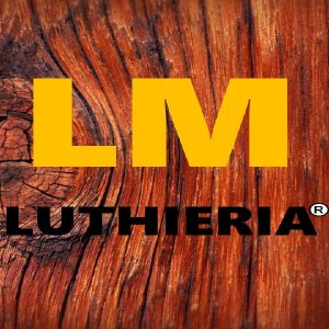 Baixar Curso De Luthier – LM Luthieria pdf, epub, eBook