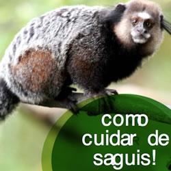 Baixar GUIA Como cuidar de Saguis pdf, epub, eBook