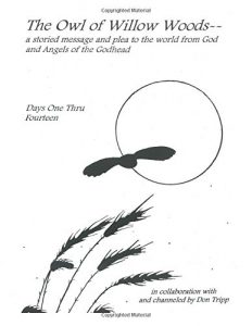 Baixar Owl of willow woods, the pdf, epub, eBook