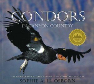 Baixar Condors in canyon country pdf, epub, eBook