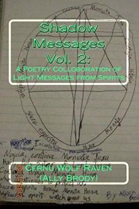 Baixar Shadow messages pdf, epub, eBook
