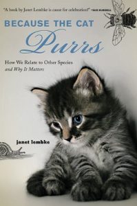 Baixar Because the cat purrs pdf, epub, eBook