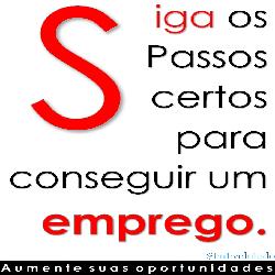 Baixar Siga os passos certos para você conseguir um emprego pdf, epub, eBook