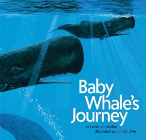 Baixar Baby whales journey pdf, epub, eBook