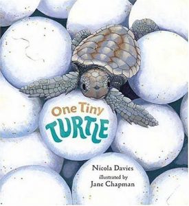 Baixar One tiny turtle pdf, epub, eBook