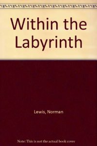 Baixar Within the labyrinth pdf, epub, eBook