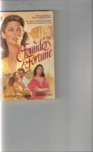 Baixar Founder’s fortune pdf, epub, eBook