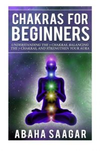Baixar Chakras for beginners pdf, epub, eBook