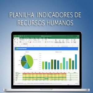 Baixar Planilha de Indicadores de RH 1.0 pdf, epub, eBook