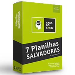 Baixar 7 Planilhas Salvadoras pdf, epub, eBook