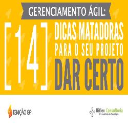 Baixar Gerenciamento Ágil: 14 Dicas Matadaoras Para Seu Projeto Dar Certo pdf, epub, eBook