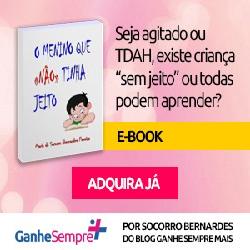 Baixar O Menino que não tinha jeito pdf, epub, eBook