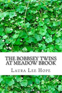 Baixar Bobbsey twins at meadow brook, the pdf, epub, eBook