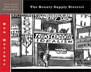 Baixar Julius knipl, real estate photographer/ the beauty pdf, epub, eBook
