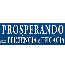 Baixar Prosperando com Eficiência e Eficácia pdf, epub, eBook